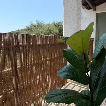 Staybridge Apartments, * Mesongí